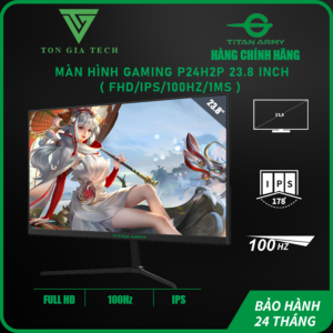 TITAN ARMY P24H2P Gaming Monitor